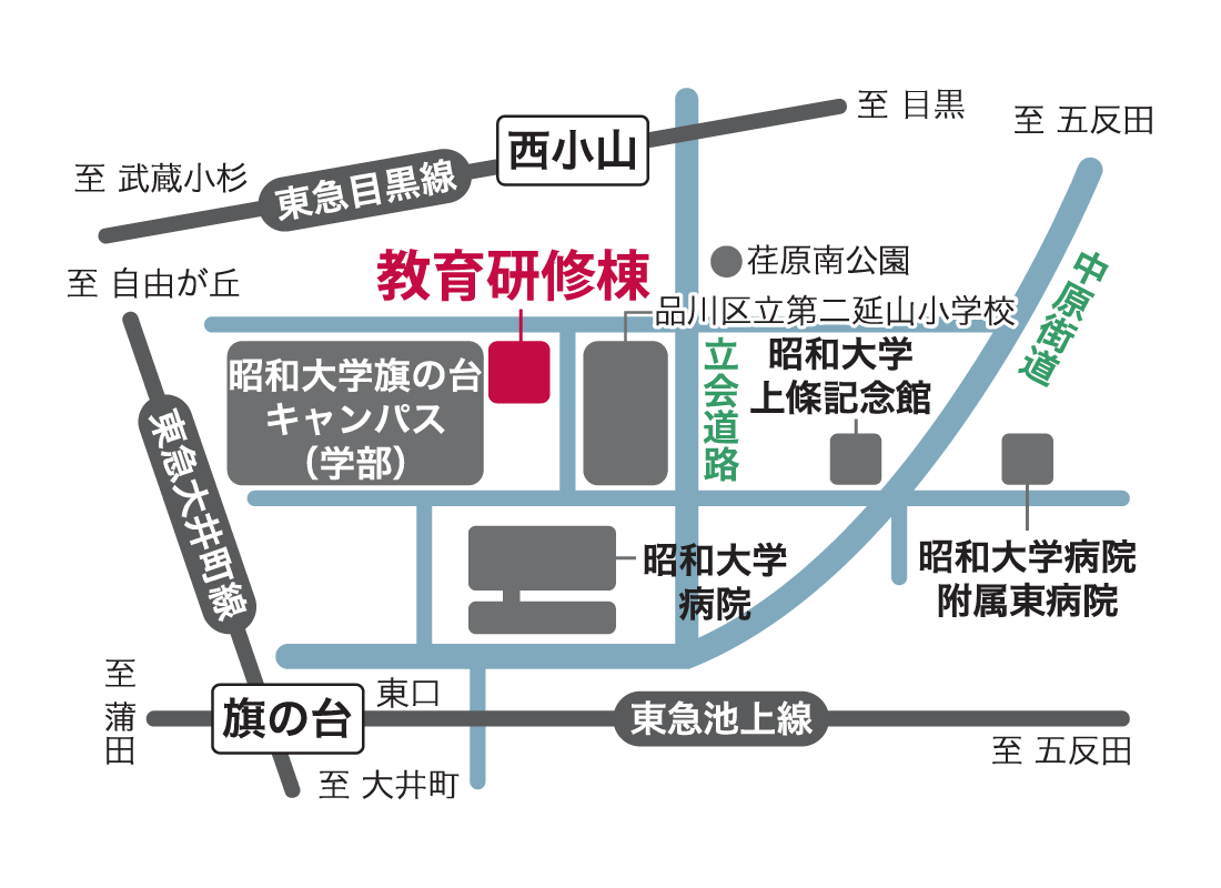 昭和大学 旗の台キャンパス 教育研修棟 アクセスマップ